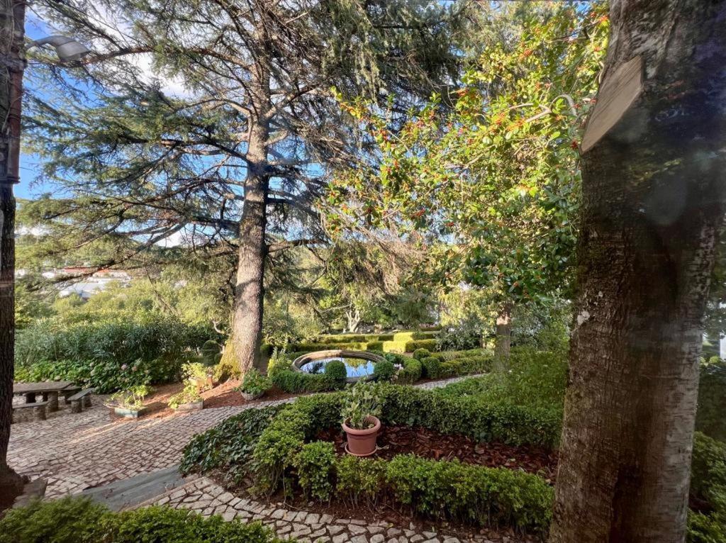 Casa Fundeira - Quinta Dos Esconhais Farm stay